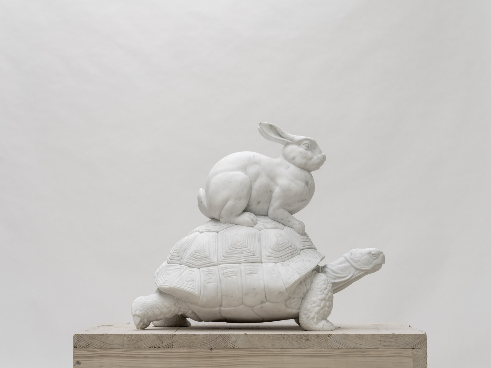 Hare and Tortoise