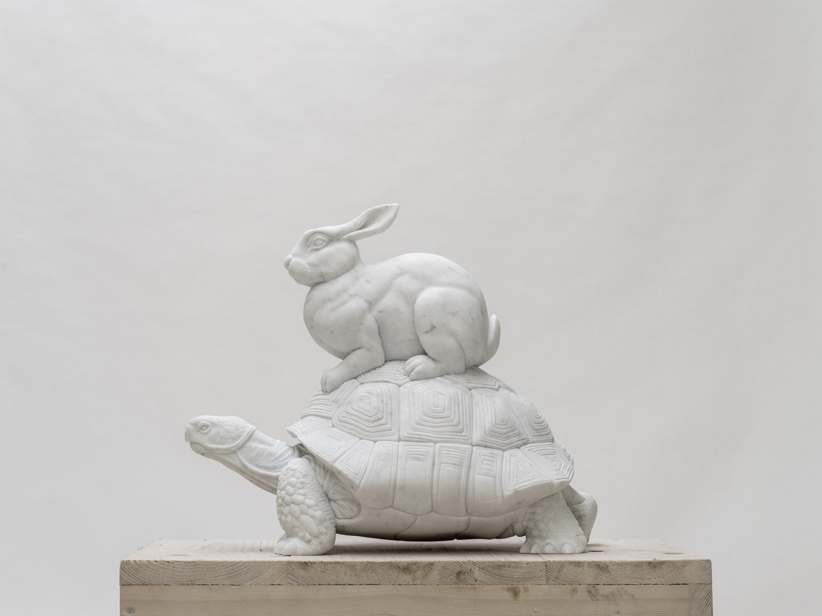 Hare and Tortoise