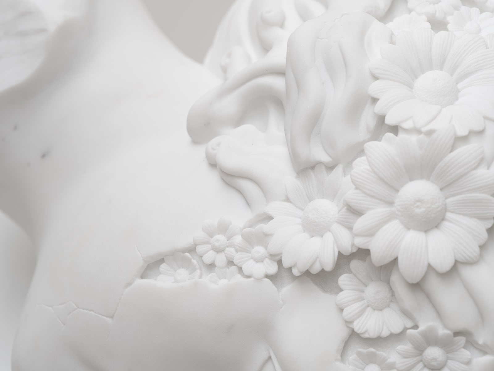 Flowered Venus Head
