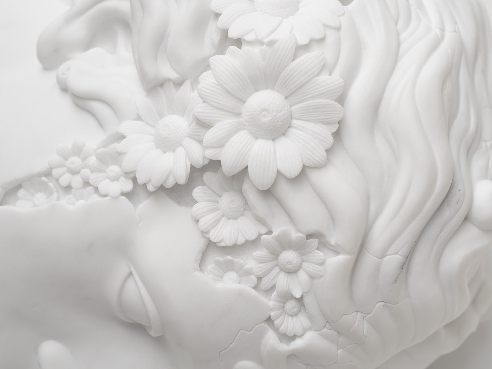 Flowered Venus Head