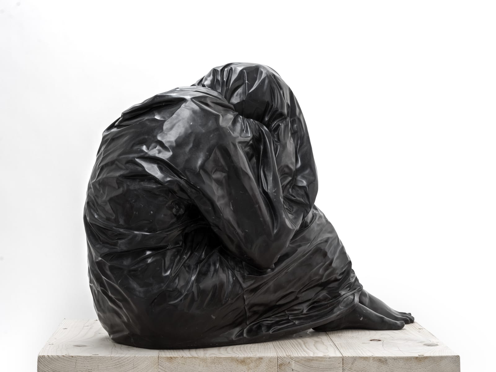 Venus Bagged