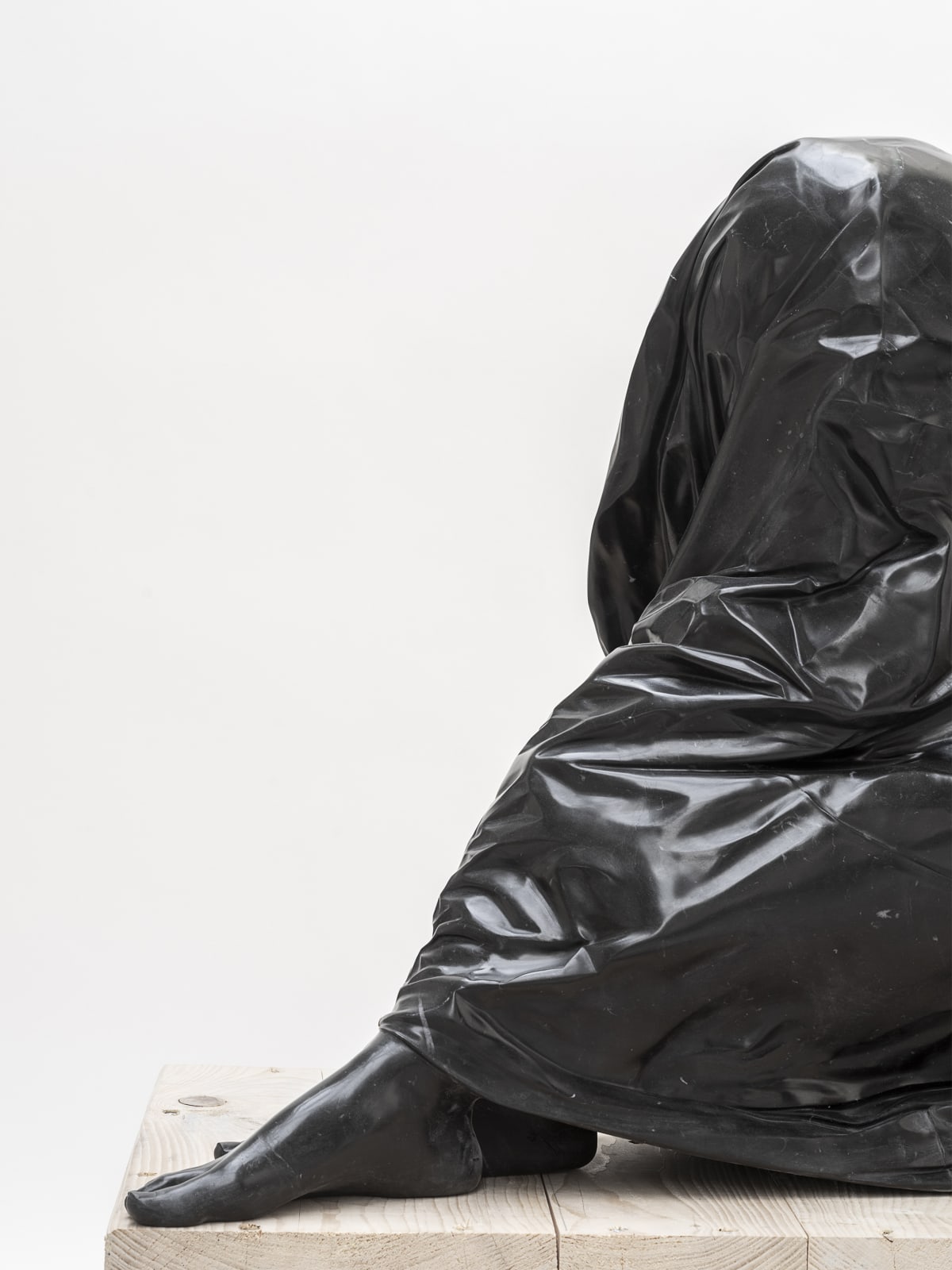 Venus Bagged