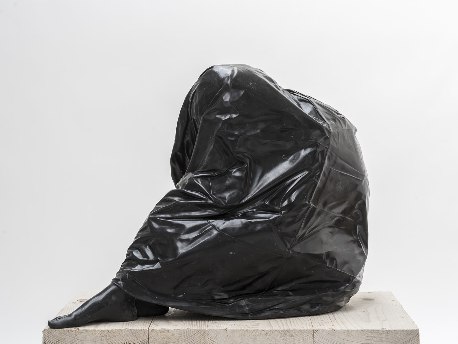 Venus Bagged