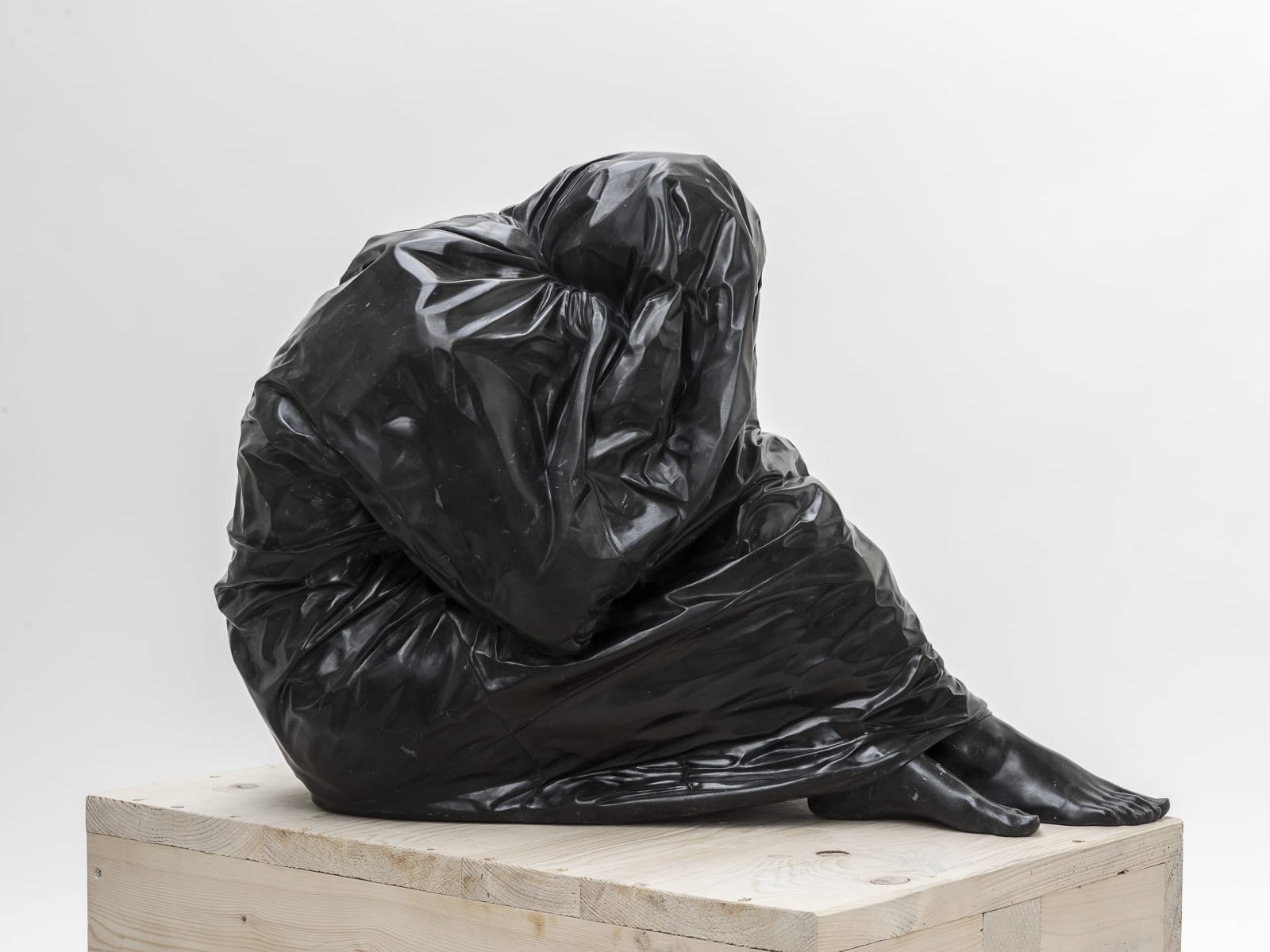 Venus Bagged