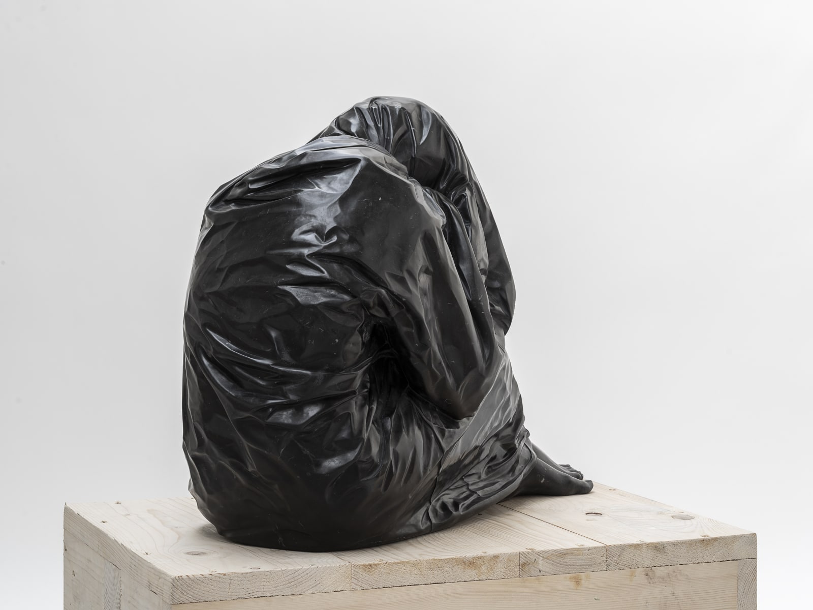 Venus Bagged