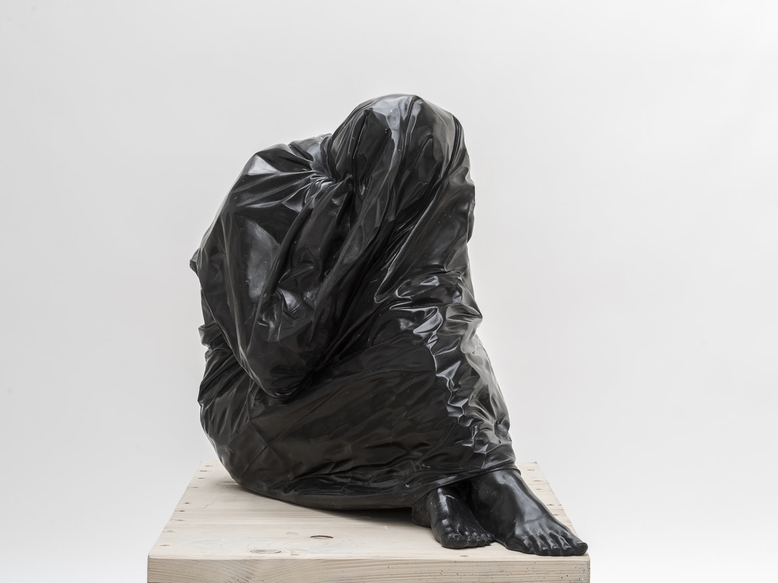 Venus Bagged