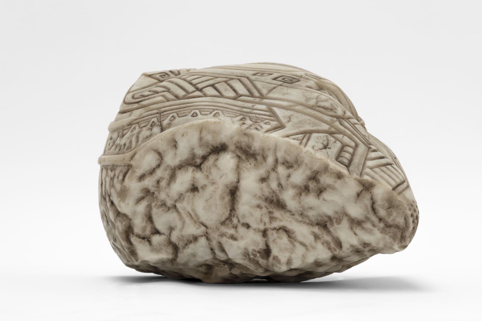 Nemean Head