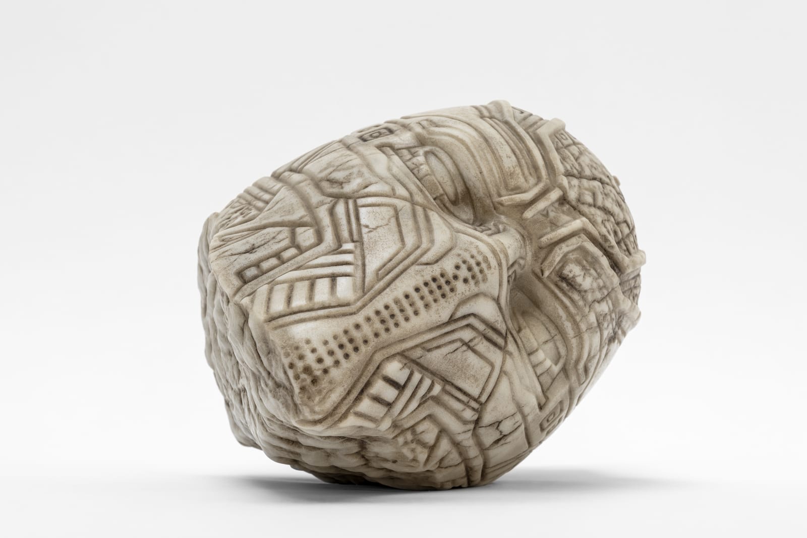 Nemean Head