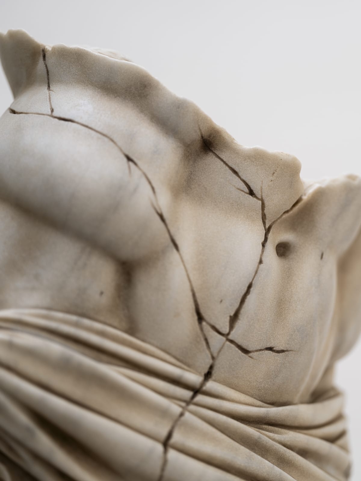 Torso Vuittonis