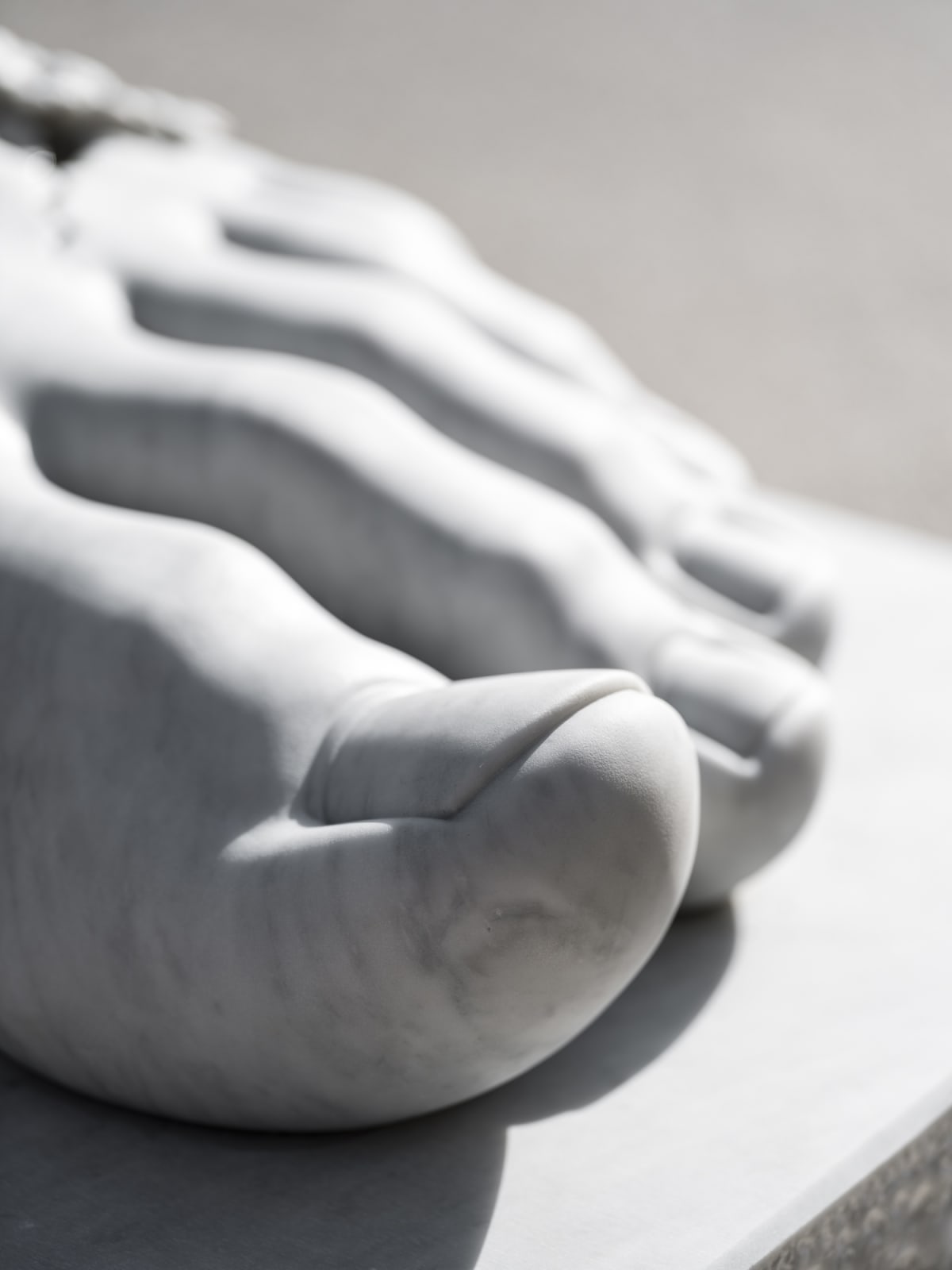 Daisy Foot