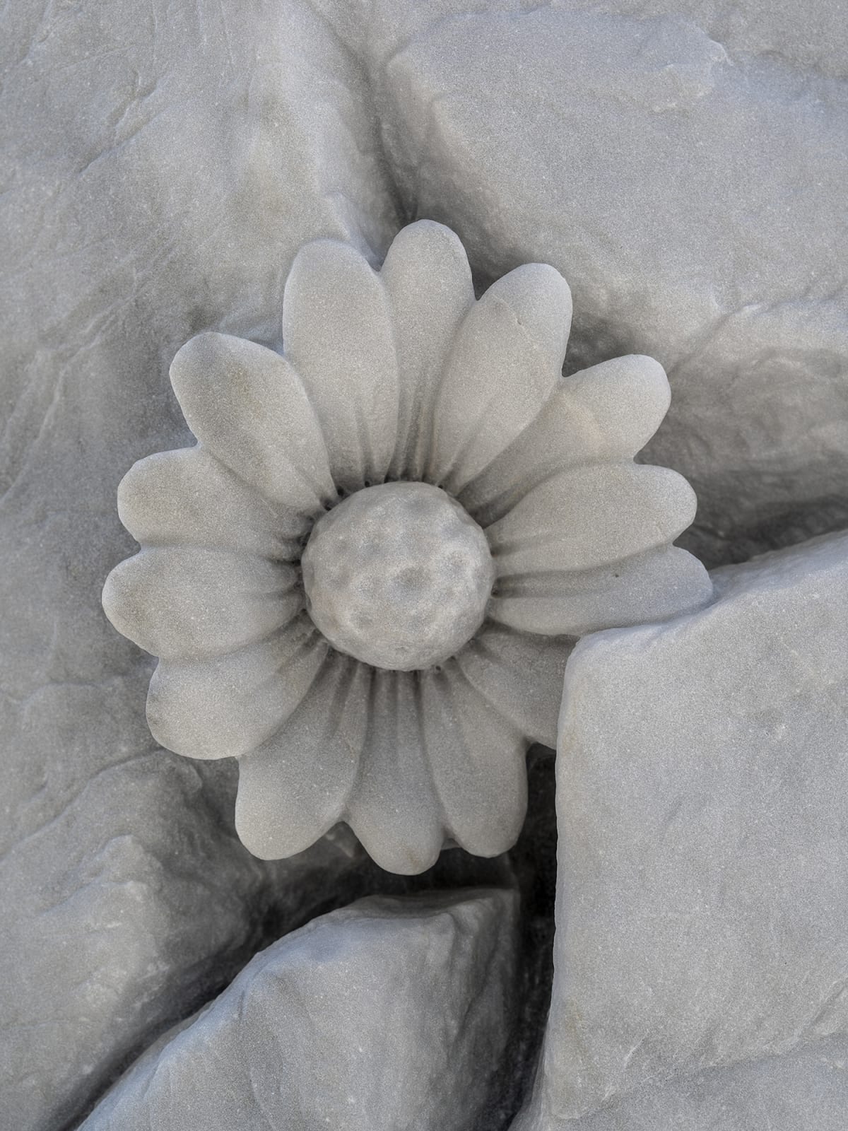 Daisy Foot