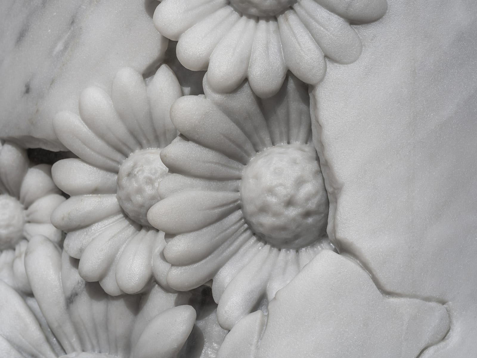 Daisy Foot