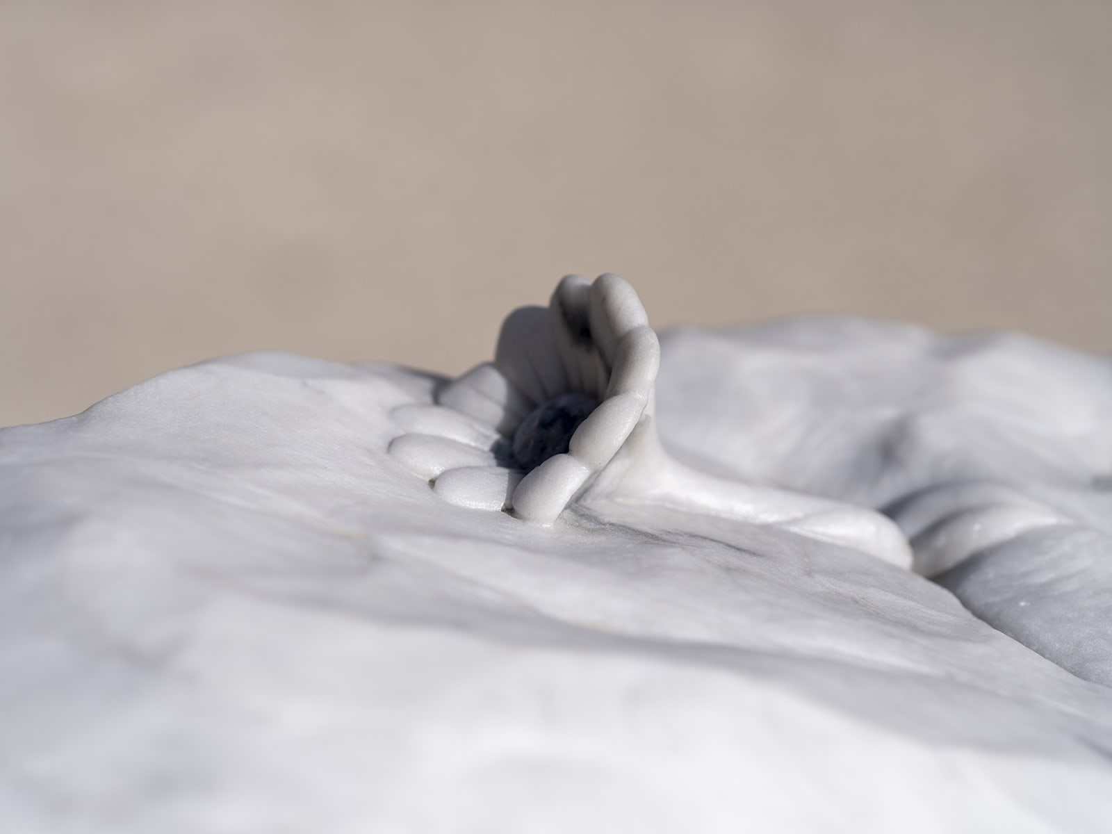 Daisy Foot