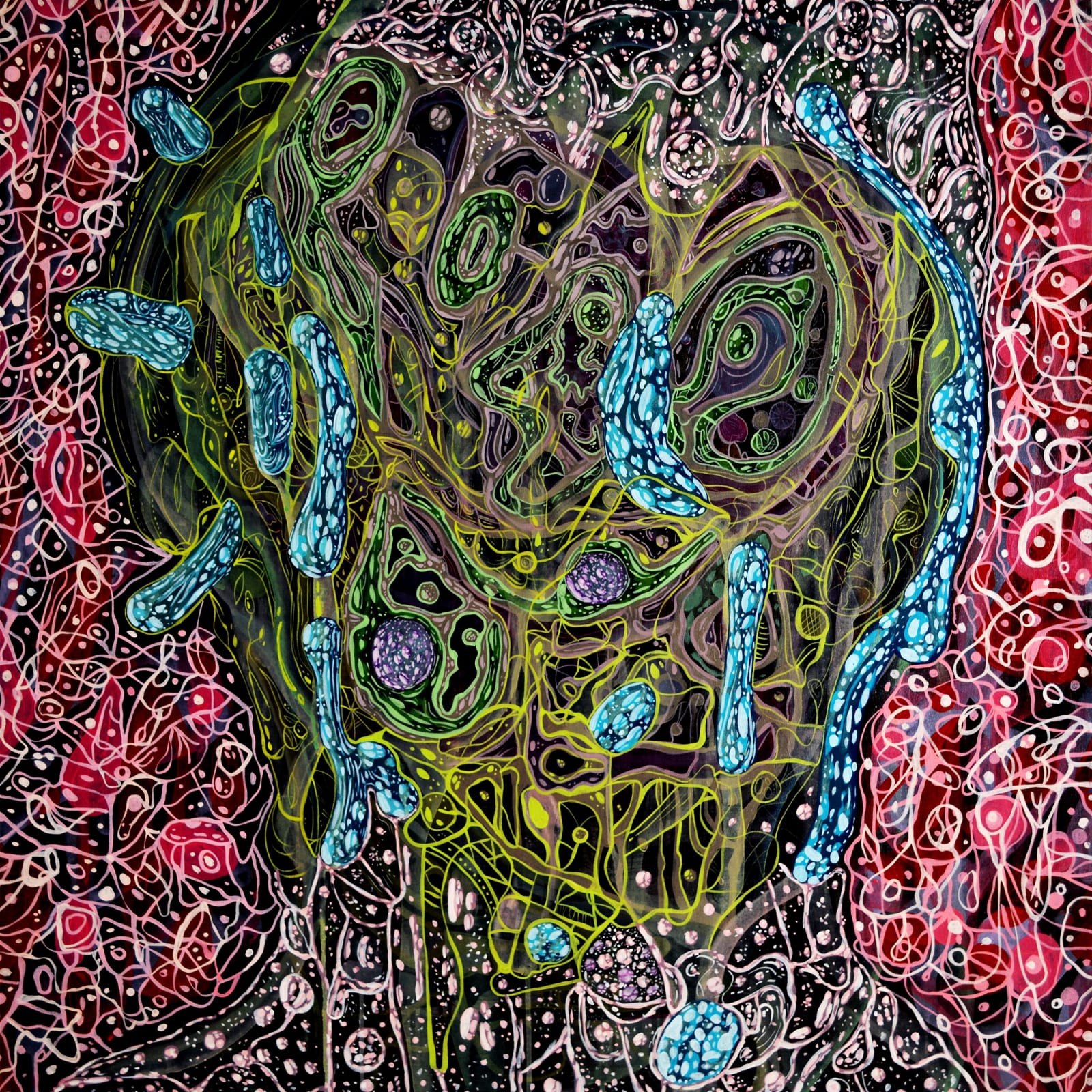 Longo Perrig, Possible head, 2016