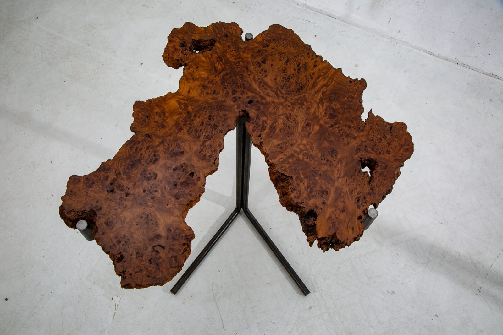 Burl Y Table