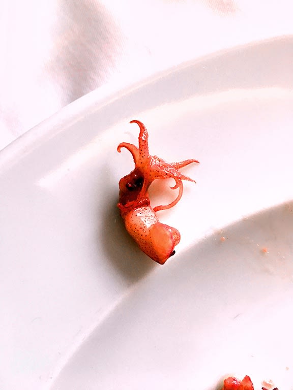 INDIVIDUALS, Takayama 2016