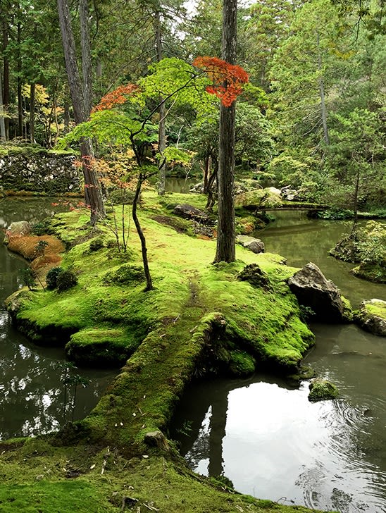 NATURE - Garden , div. Garden Japan