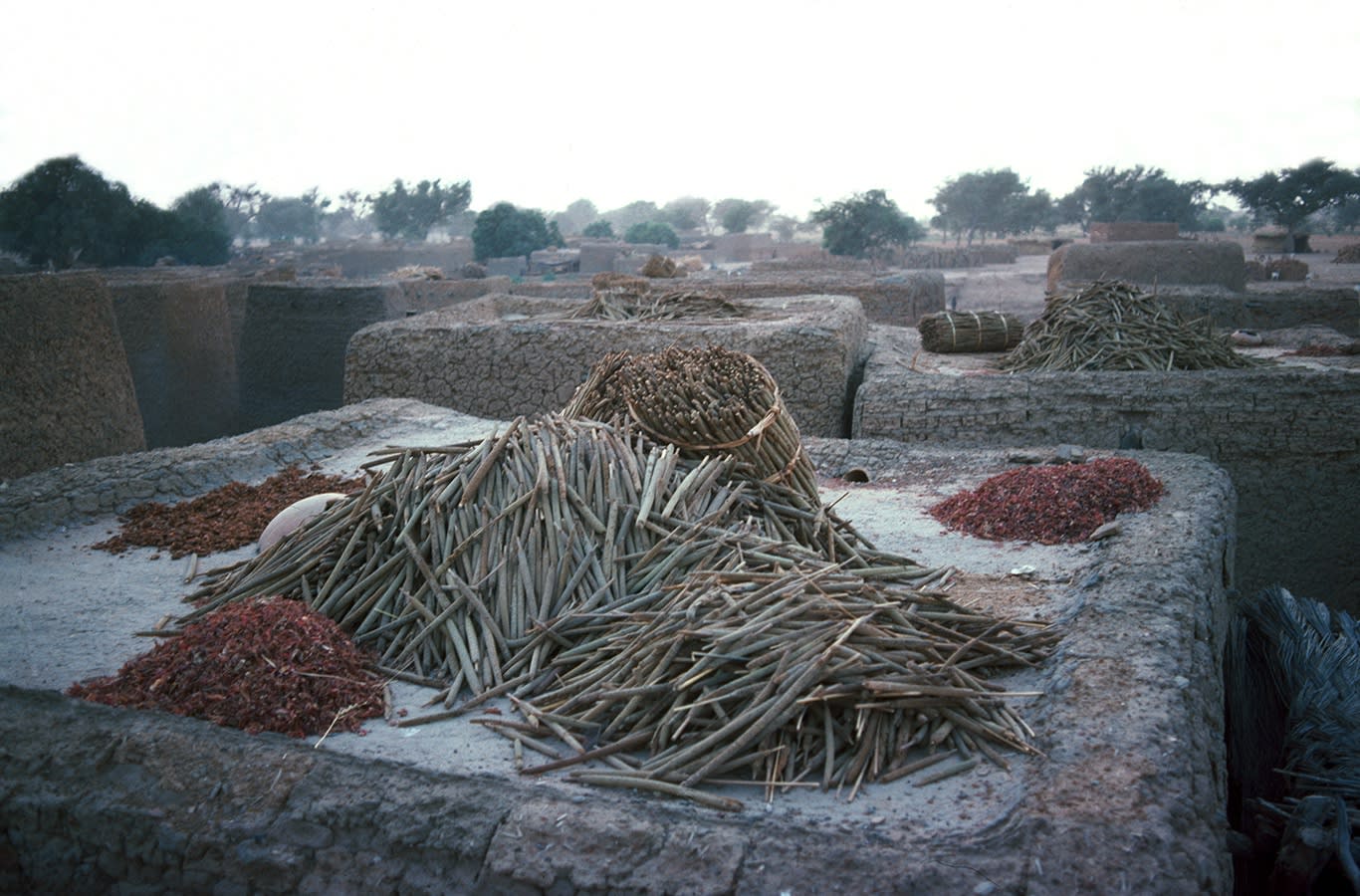 MALI 1977, Mosque Djenné, 1977
