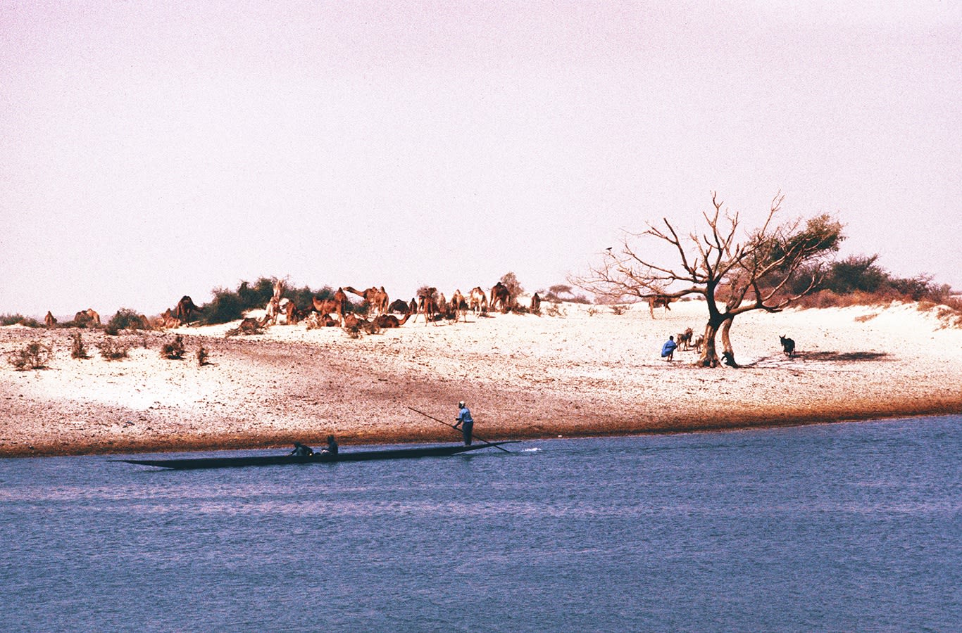 MALI 1977, Mosque Djenné, 1977