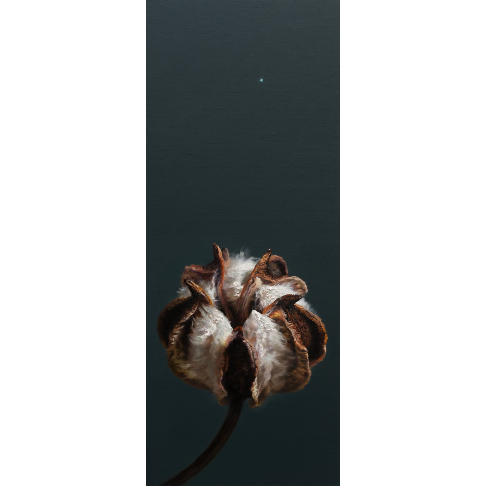 Kang Kang Hoon Polestar 2025 Oil on canvas 100 x 40 cm