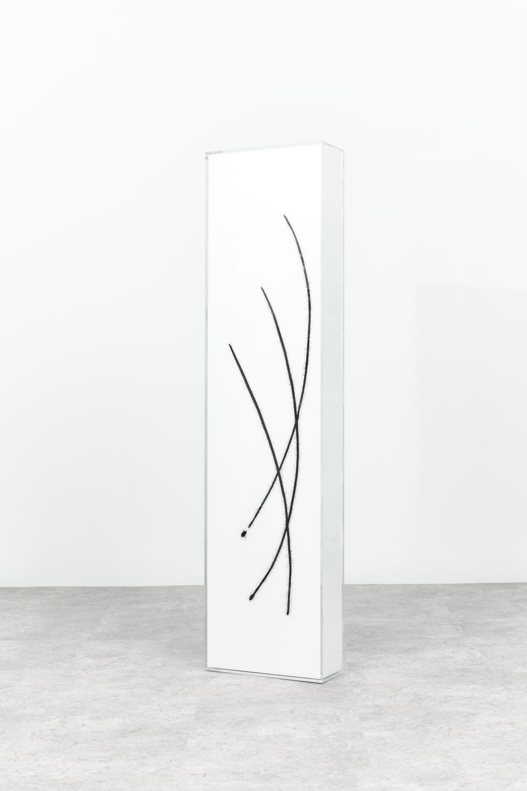 Pr6, styrofoam on acrylic, 40x25x170cm, 2022