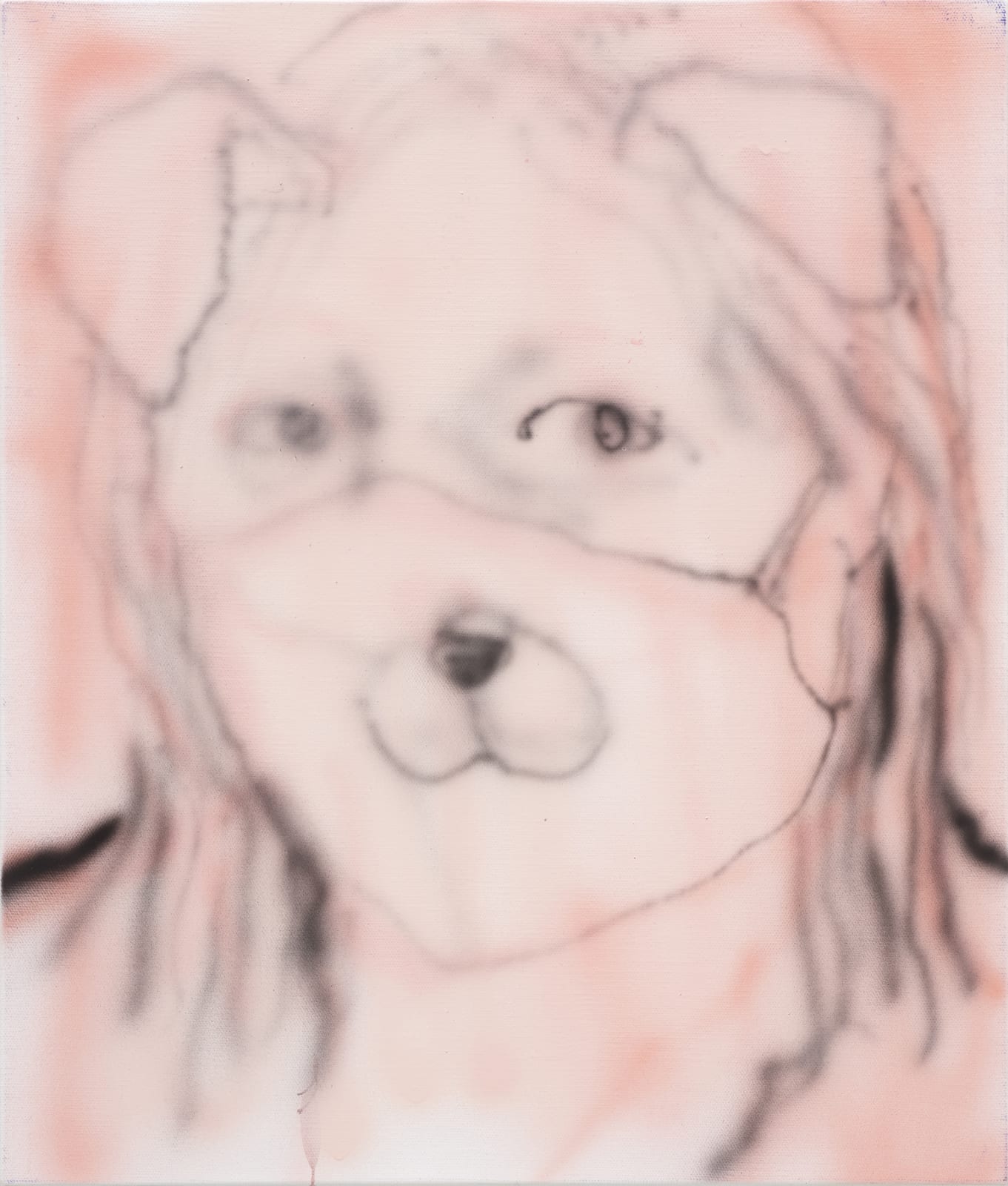 Puppied, acrylic on canvas, 53.0x45.5cm, 2020