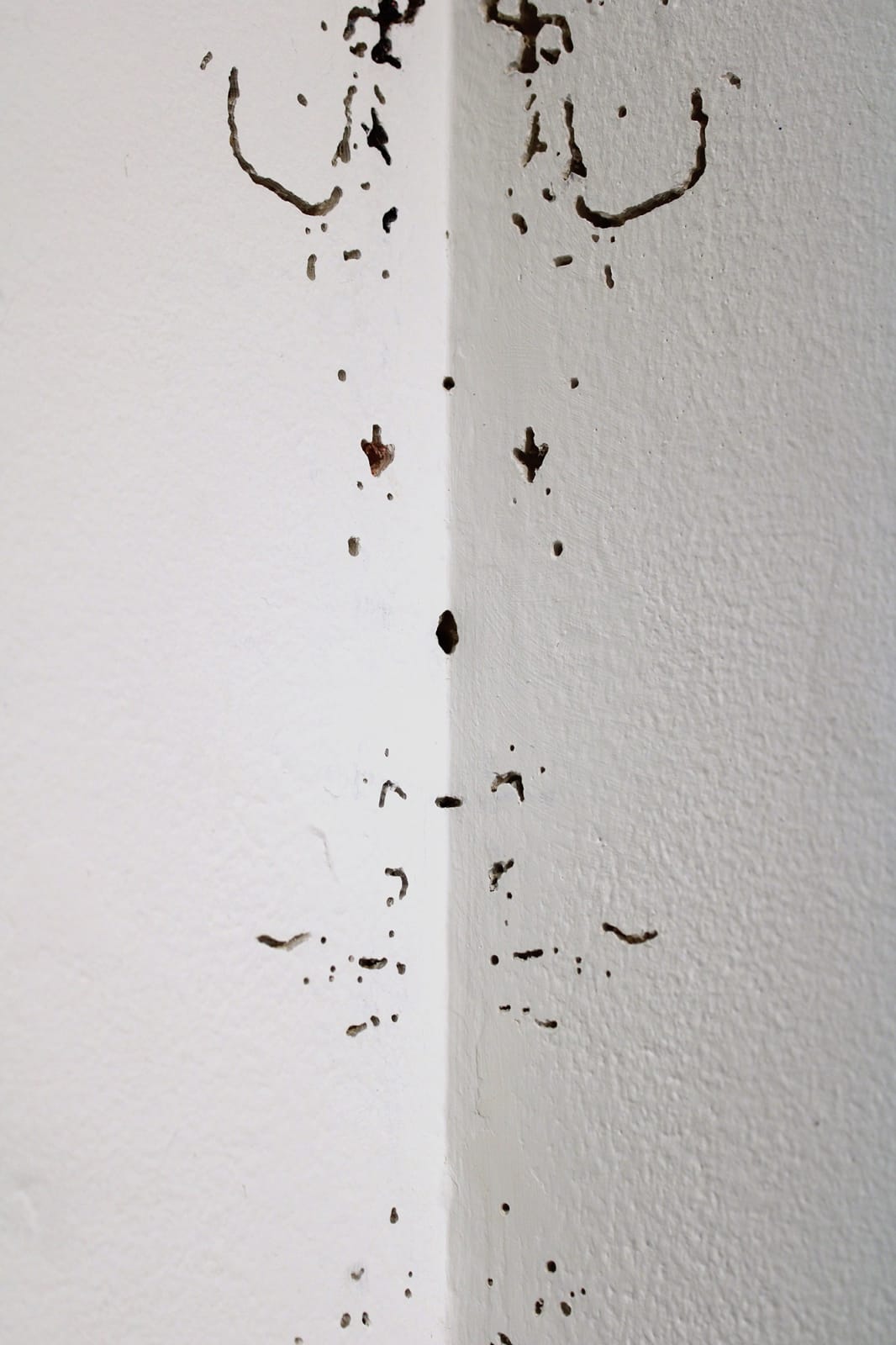 Rina Lam Goldfield, Bookworm Corner, 2022