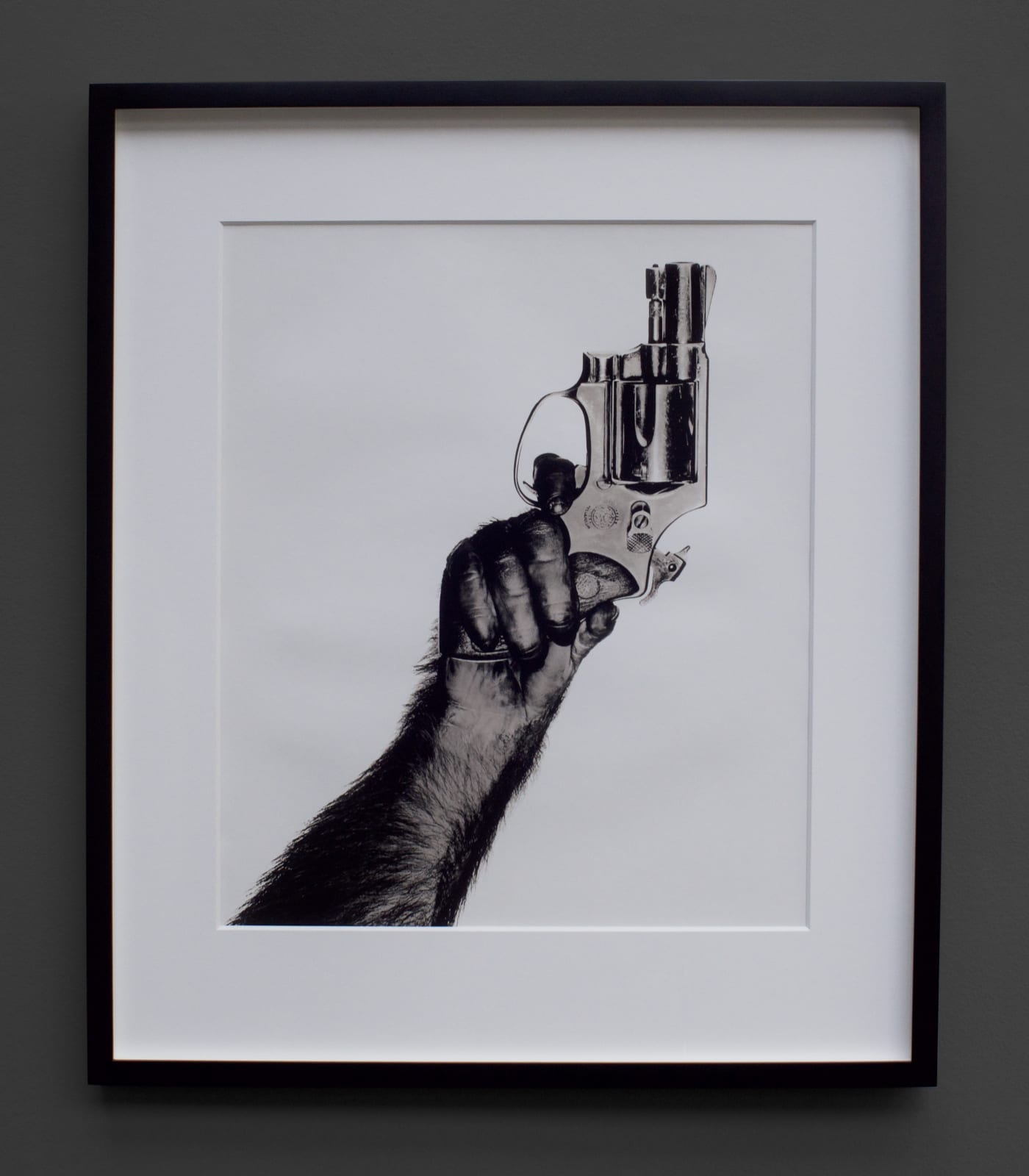 Albert Watson, Monkey With Gun, New York City, 1992