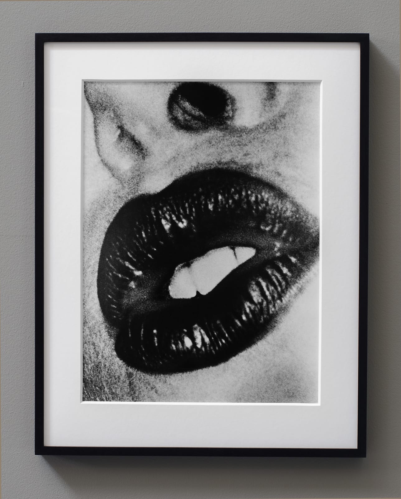 Daido Moriyama, Filmograph, 2001