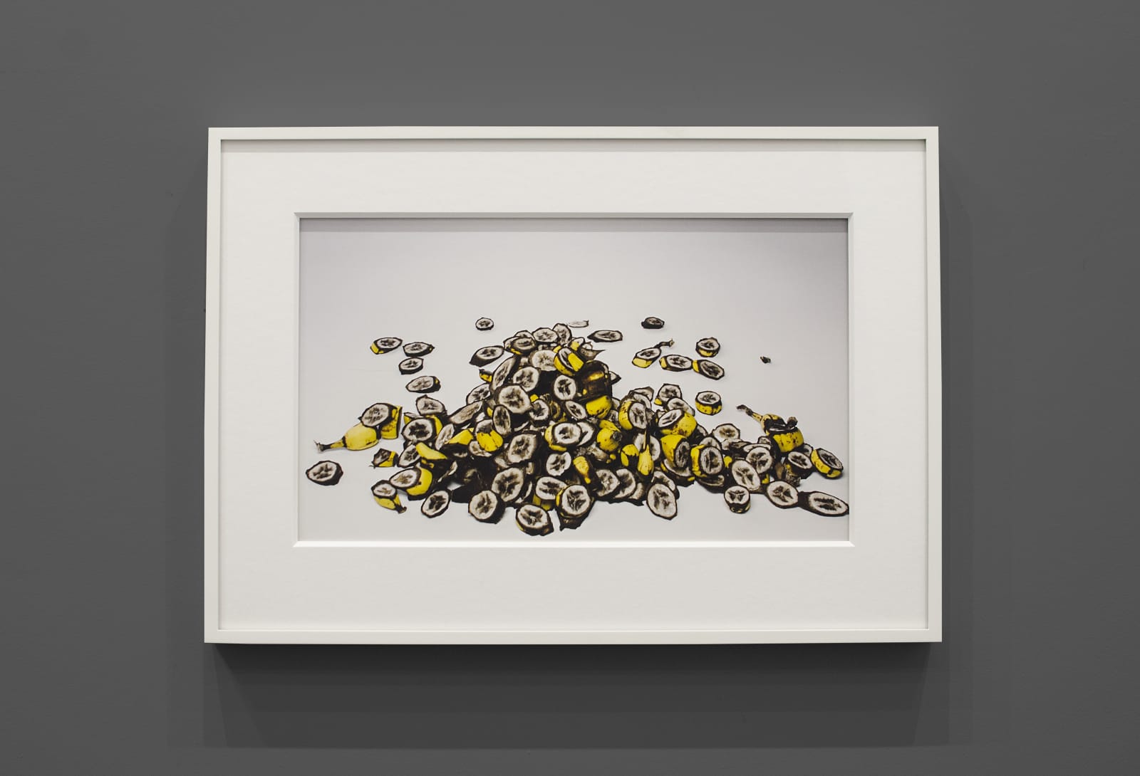 Irving Penn, Small Cuttings of Bananas, New York, 2008