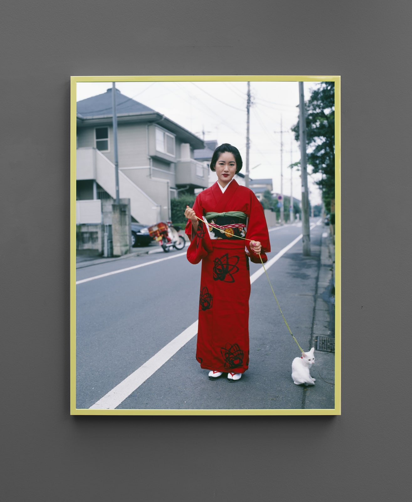 Nobuyoshi Araki, 67 Shooting Back, 2007