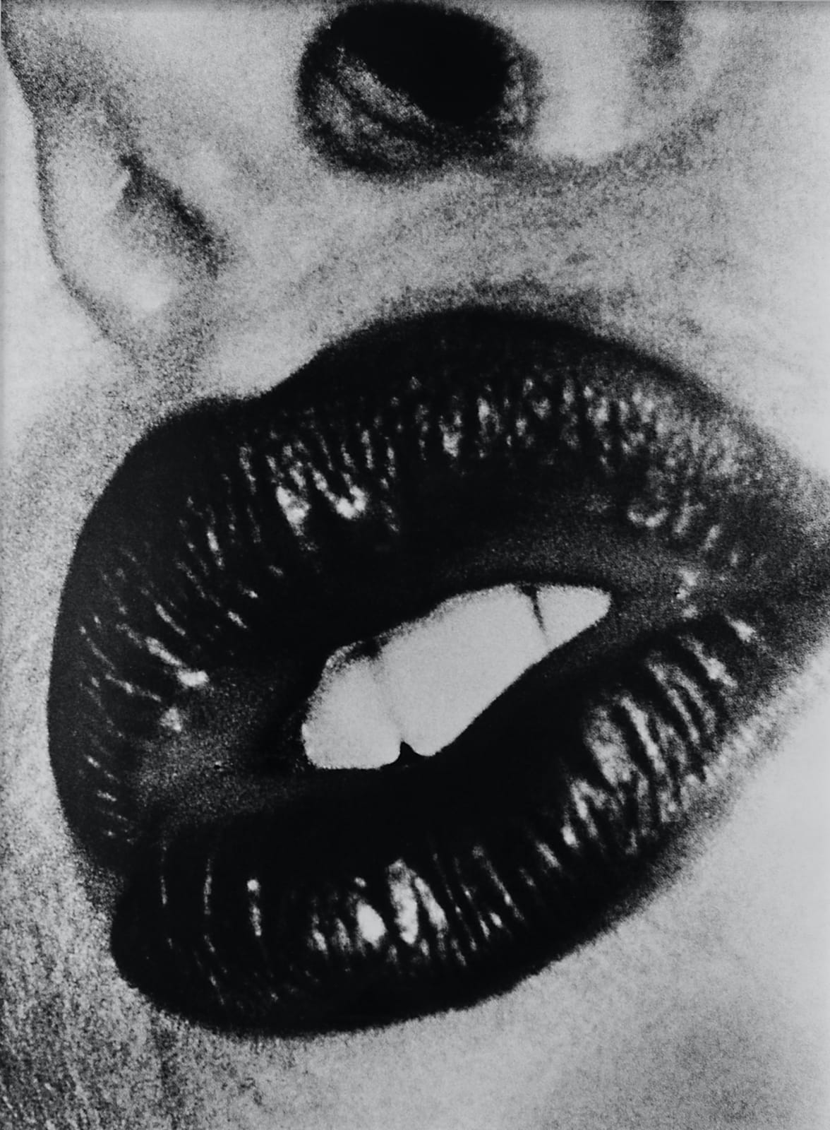 Daido Moriyama, Filmograph, 2001
