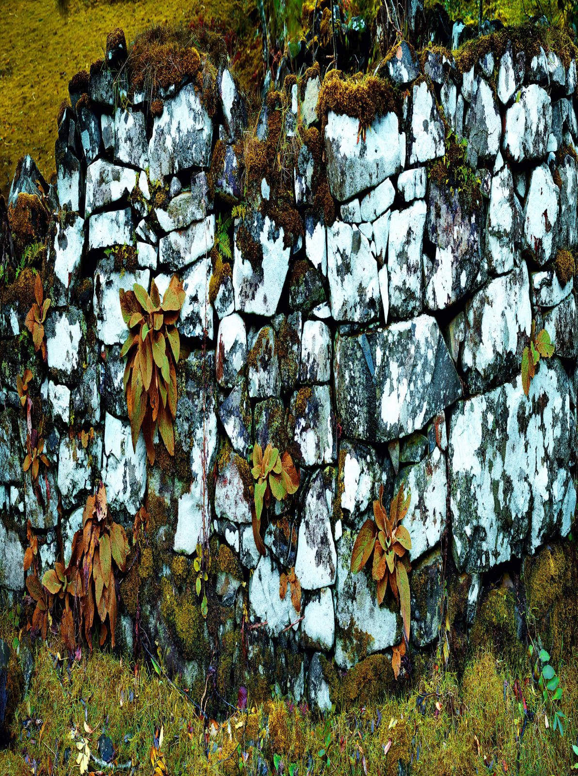 Albert Watson, Wall, Fairy Glen, Isle of Skye, Scotland, 2013