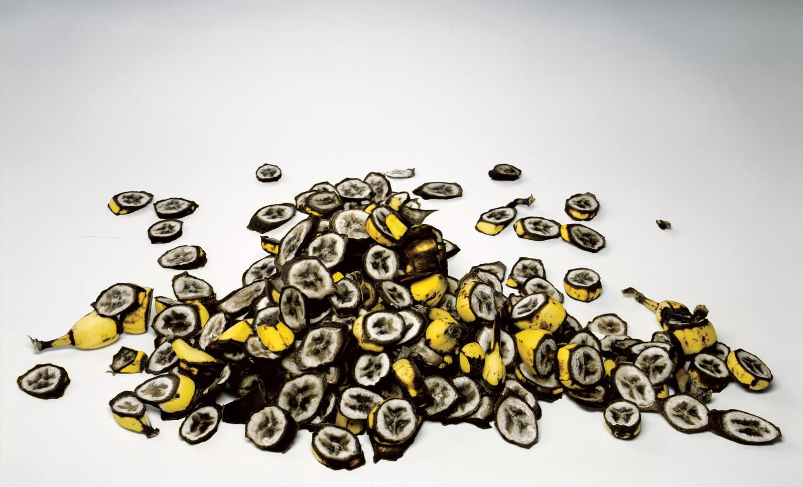 Irving Penn, Small Cuttings of Bananas, New York, 2008