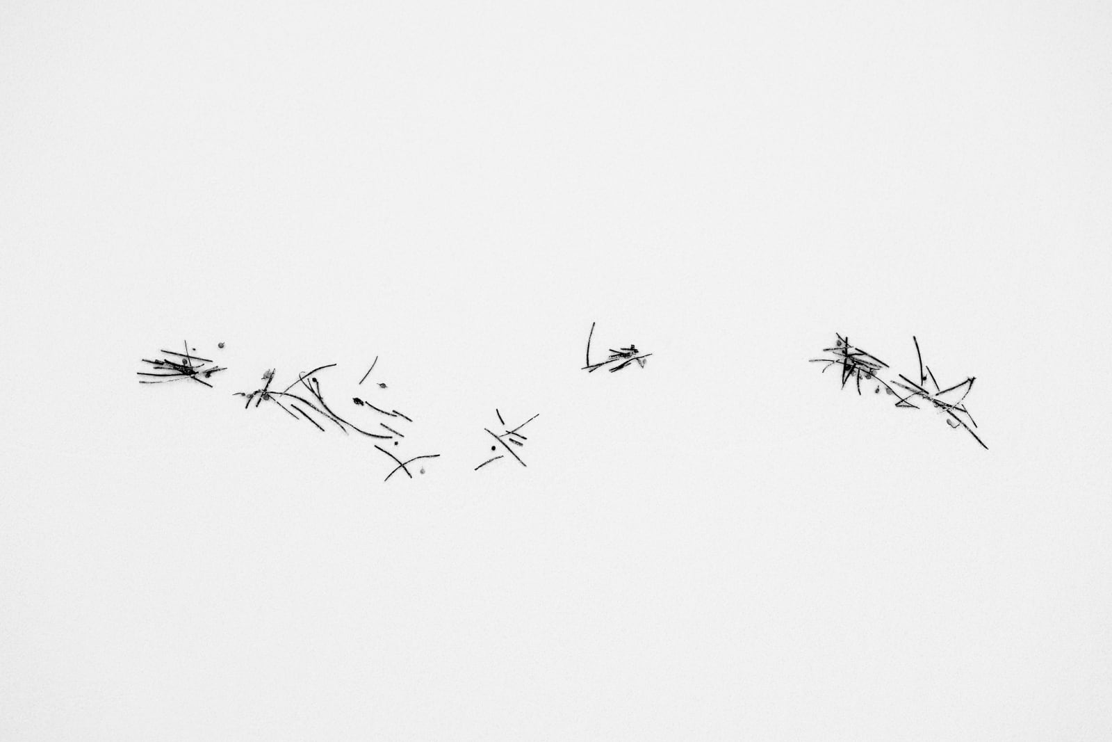 Charles March, Sandscript Series 2 V, 2023-2025