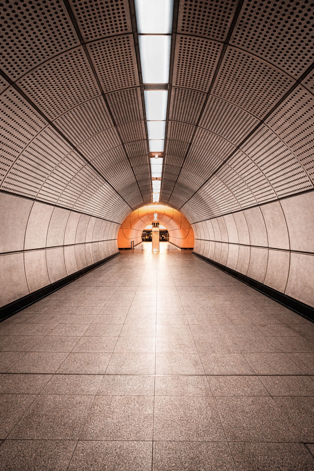 Tube 3