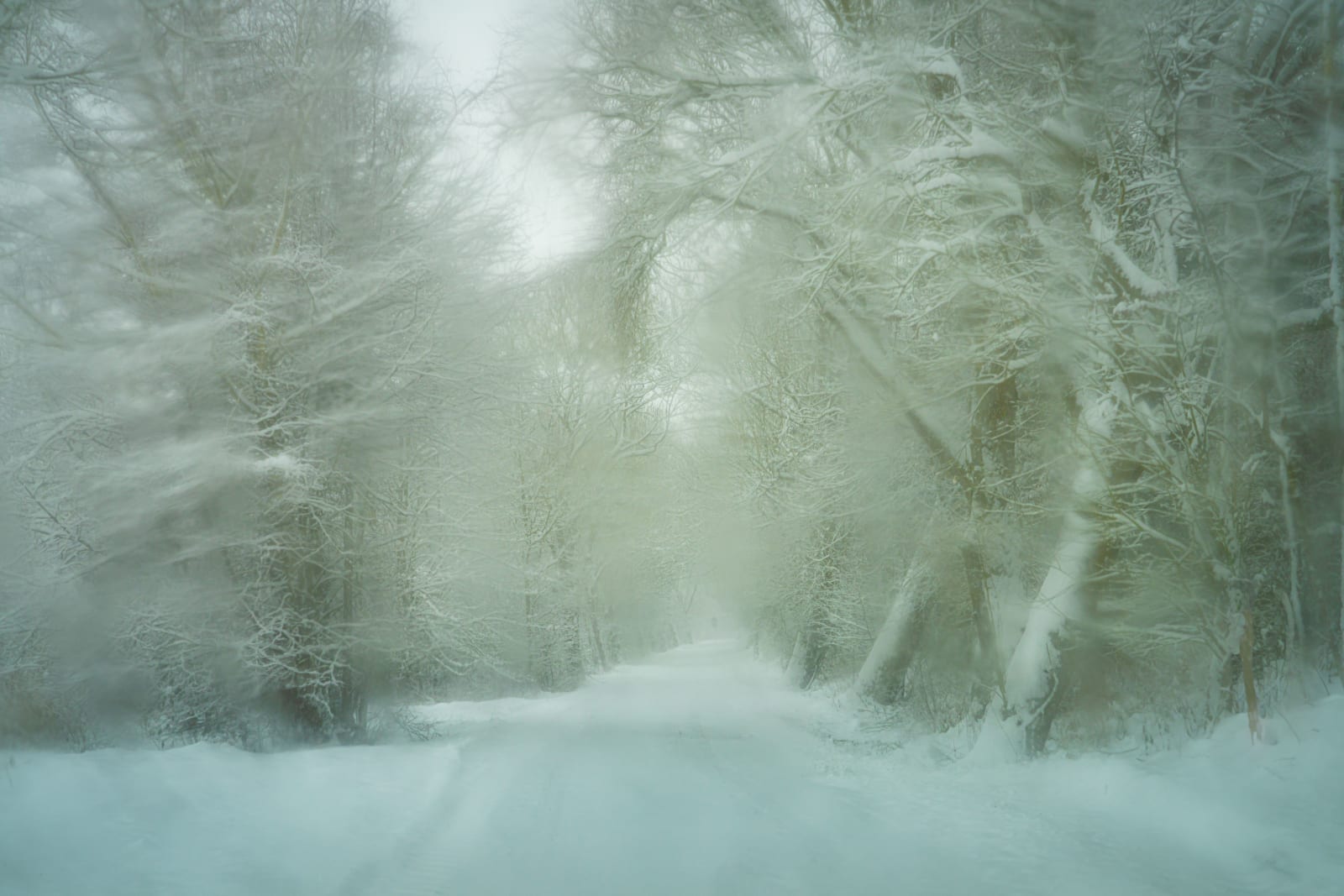 Schneefallimpressionen 3