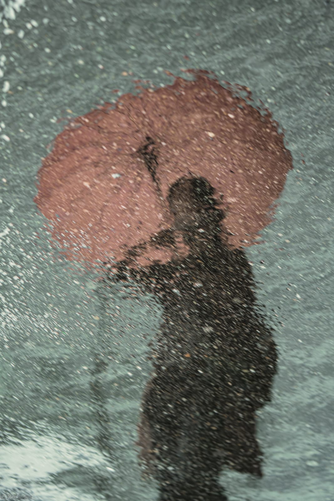 Umbrella