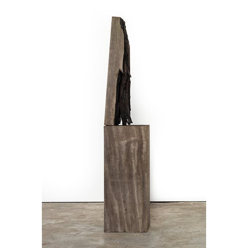 JO VAN RIJCKEGHEM, zonder titel, 2024
