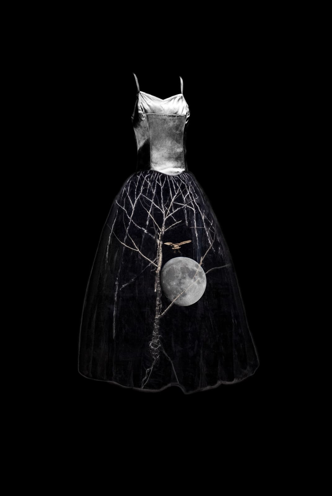 Todd Murphy, Owl and Moon, 2016