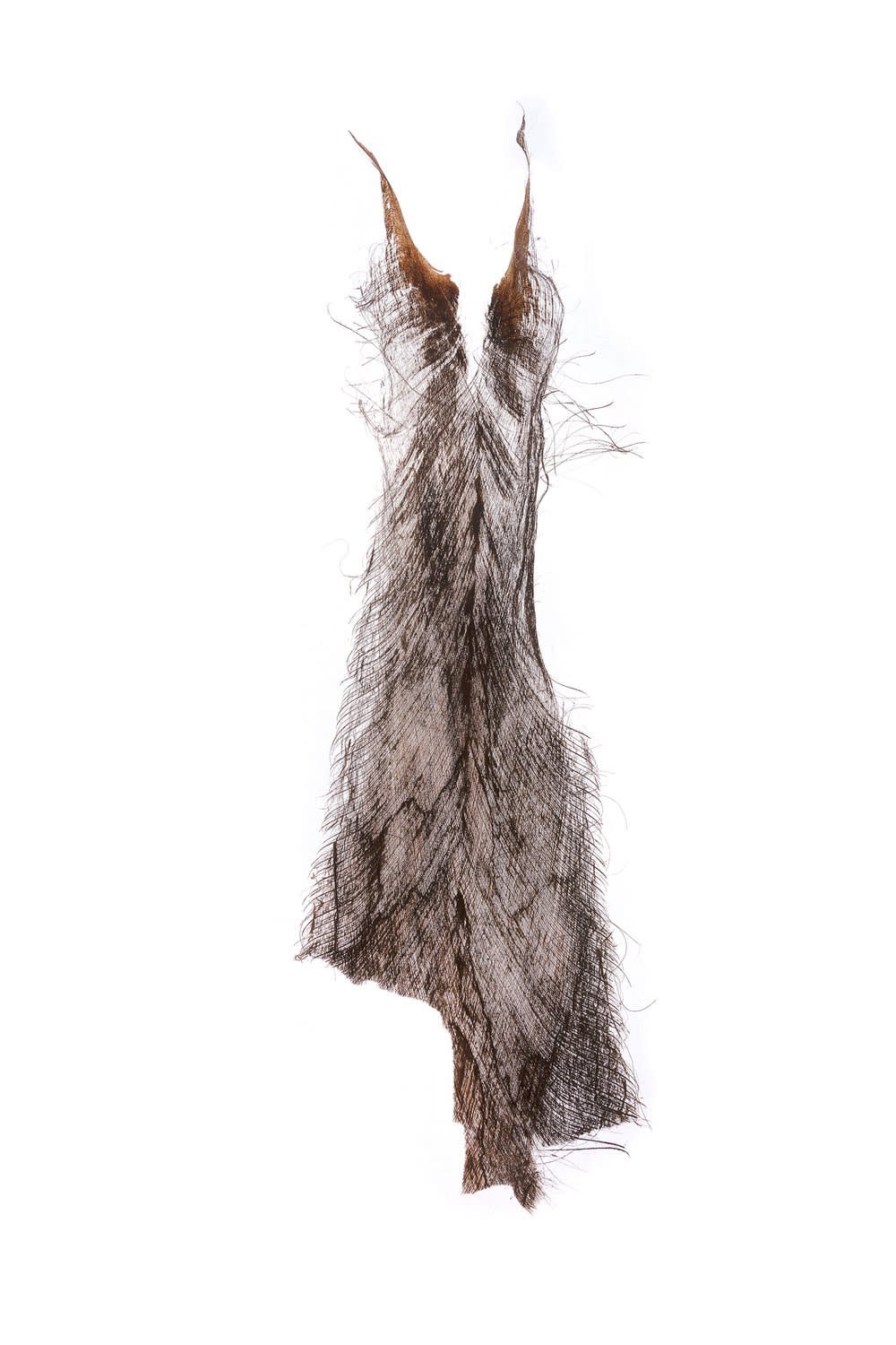 Todd Murphy, Botanical Husk Dress, 2016