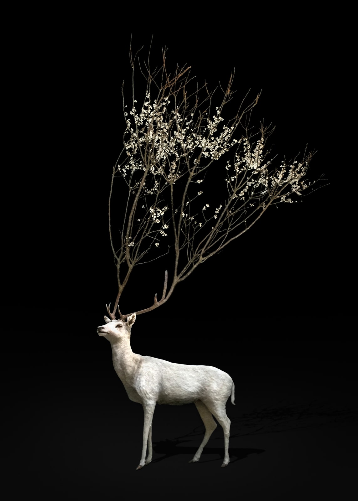 Todd Murphy, Flowering Branch Stag , 2018-2019