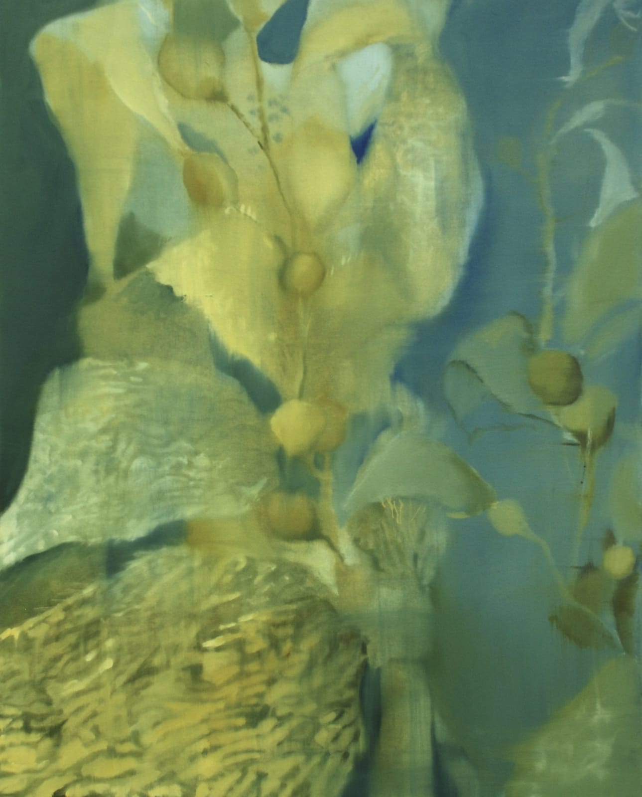 Within the Kelp Forest, 2024