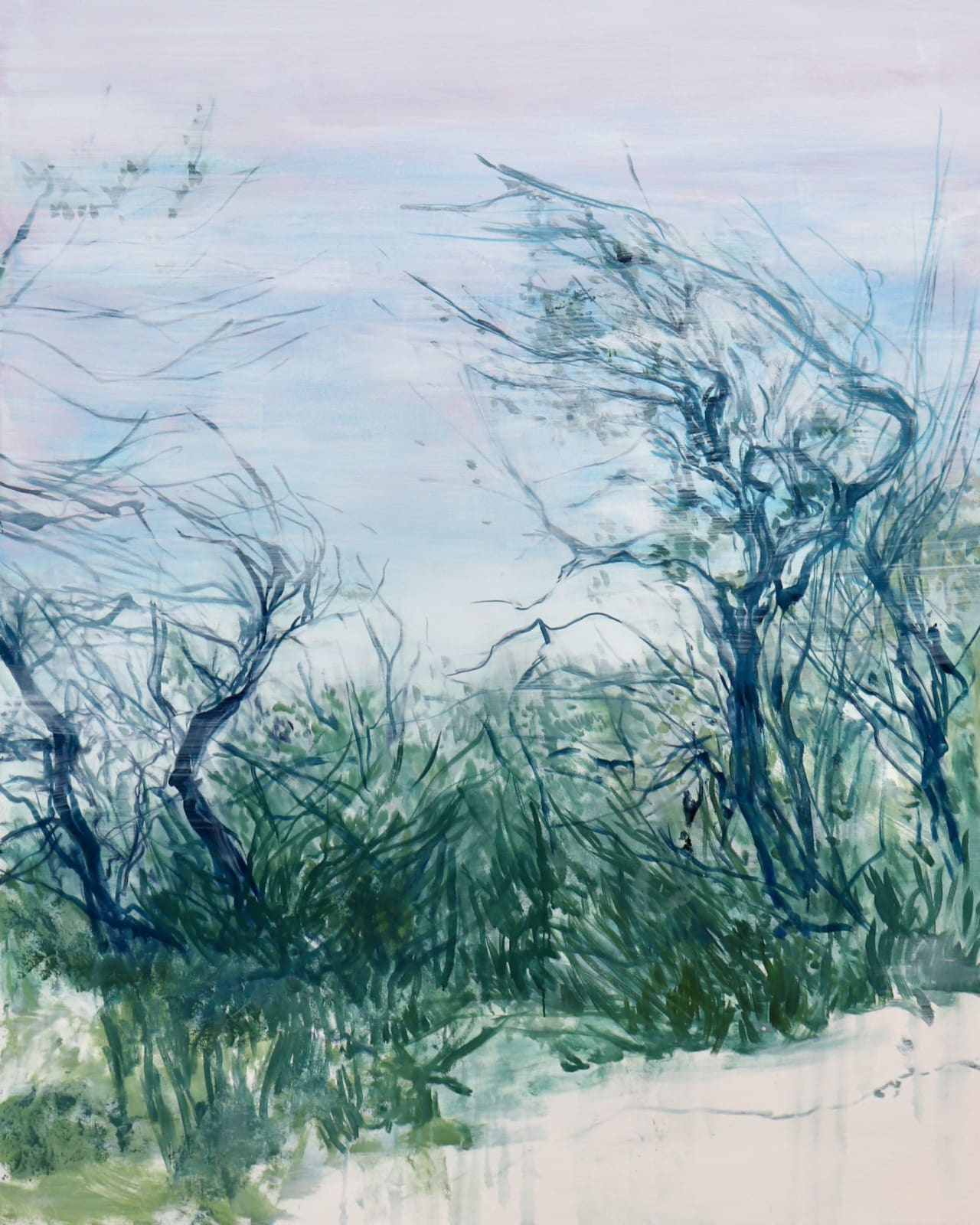 Melanie Taylor, Coyote Link