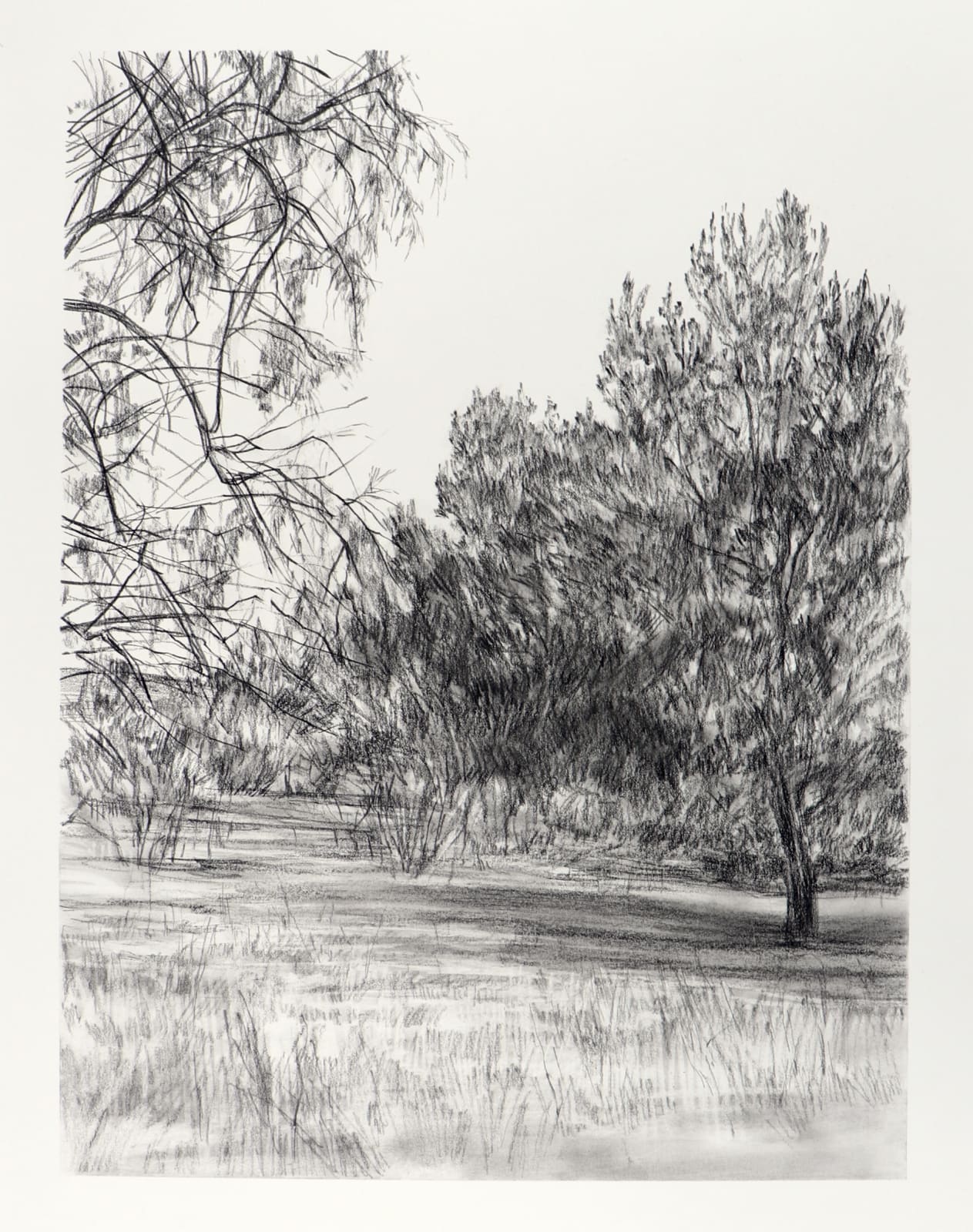 Melanie Taylor, Borderland 10