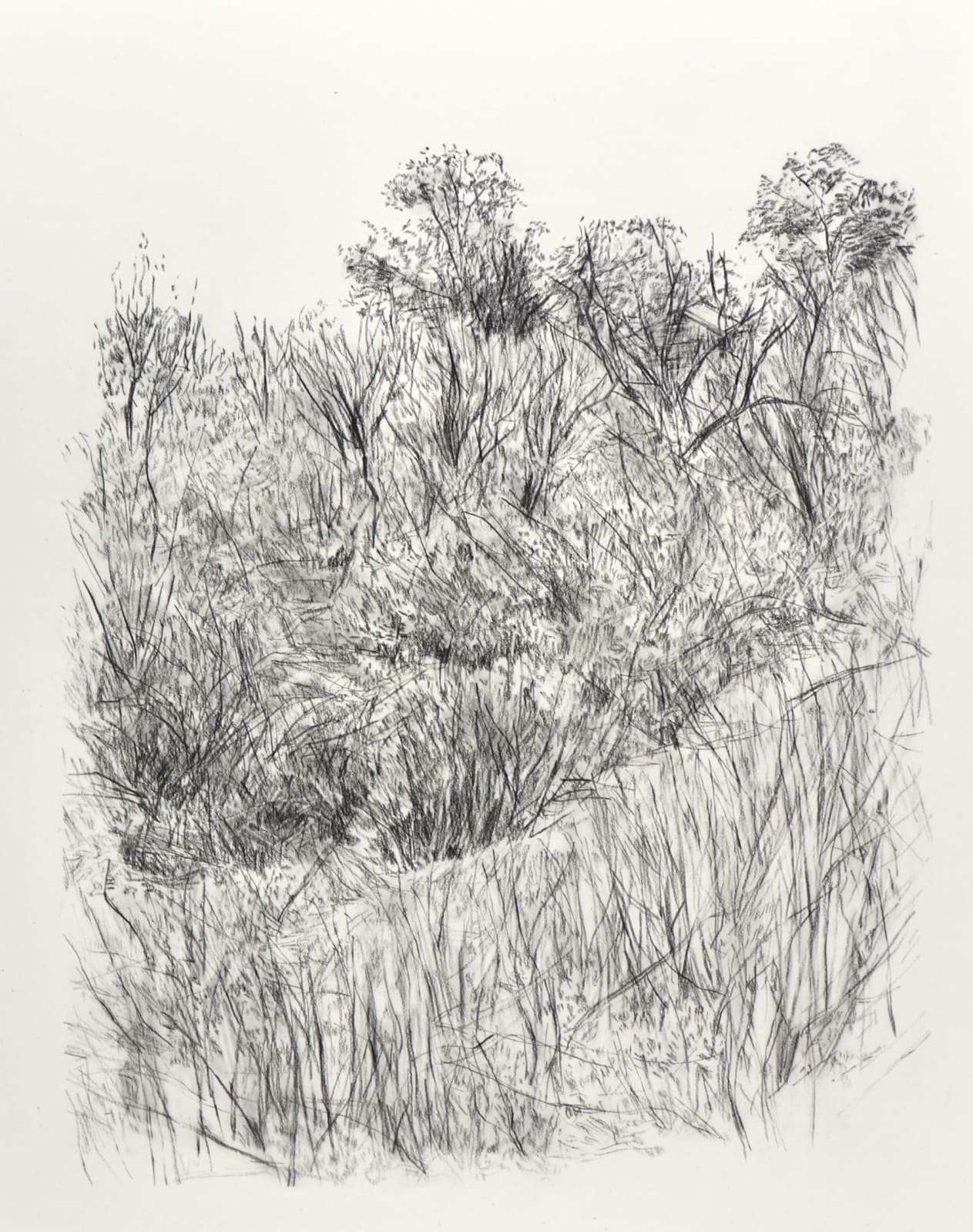 Melanie Taylor, Borderland 2