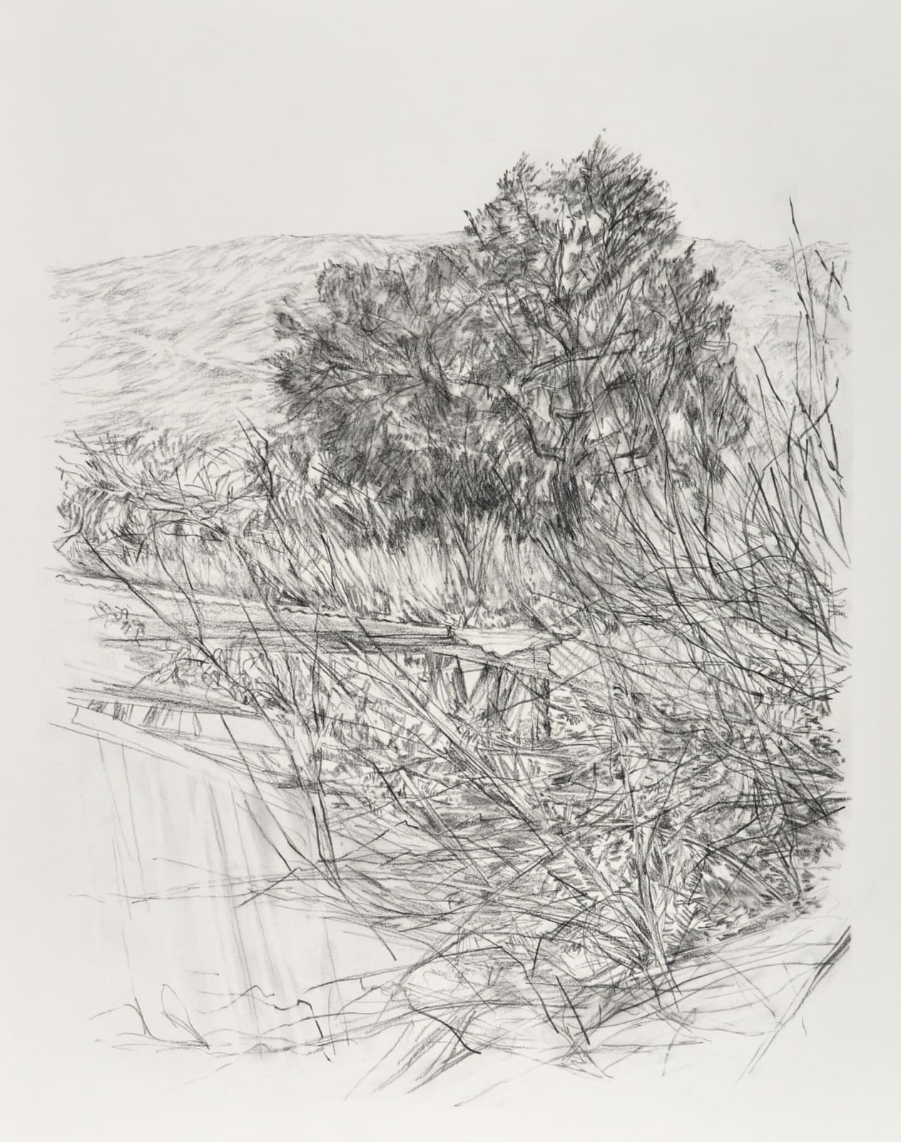 Melanie Taylor, Borderland 4