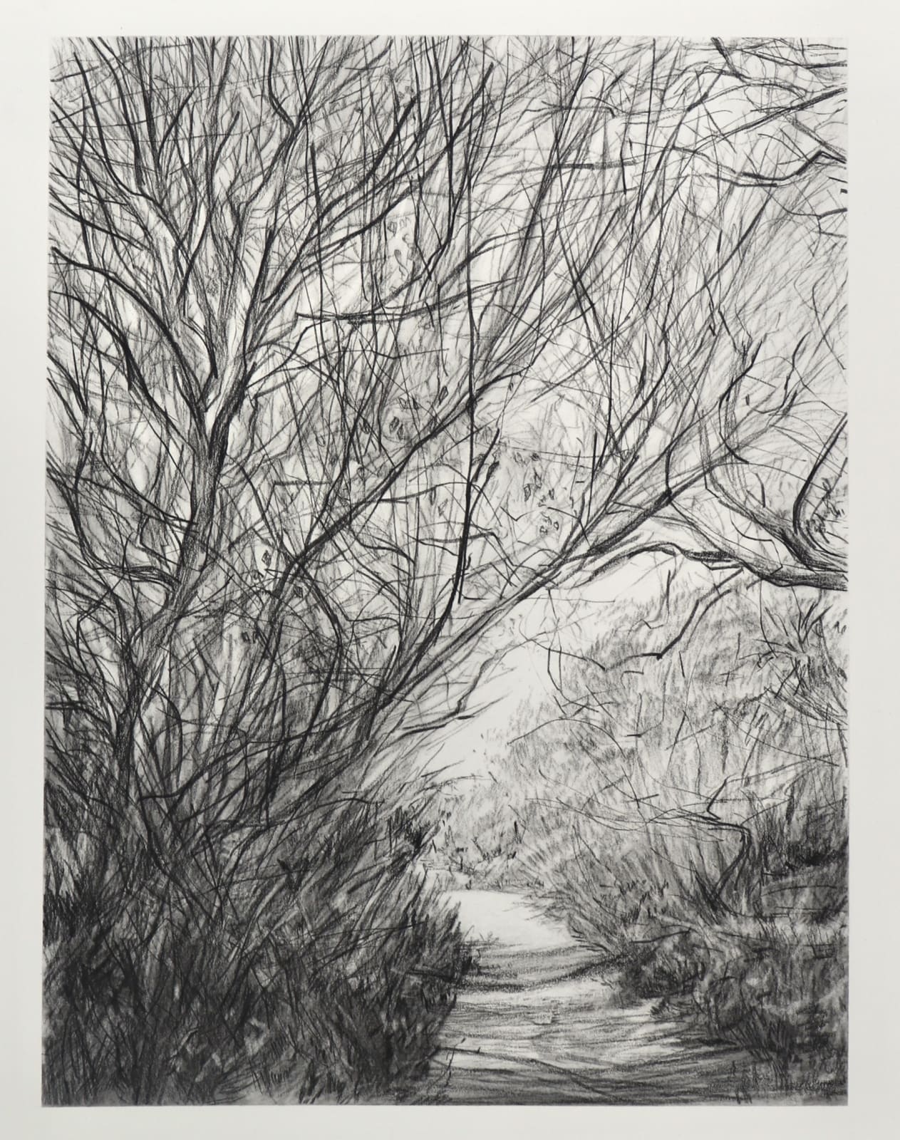 Melanie Taylor, Borderland 9