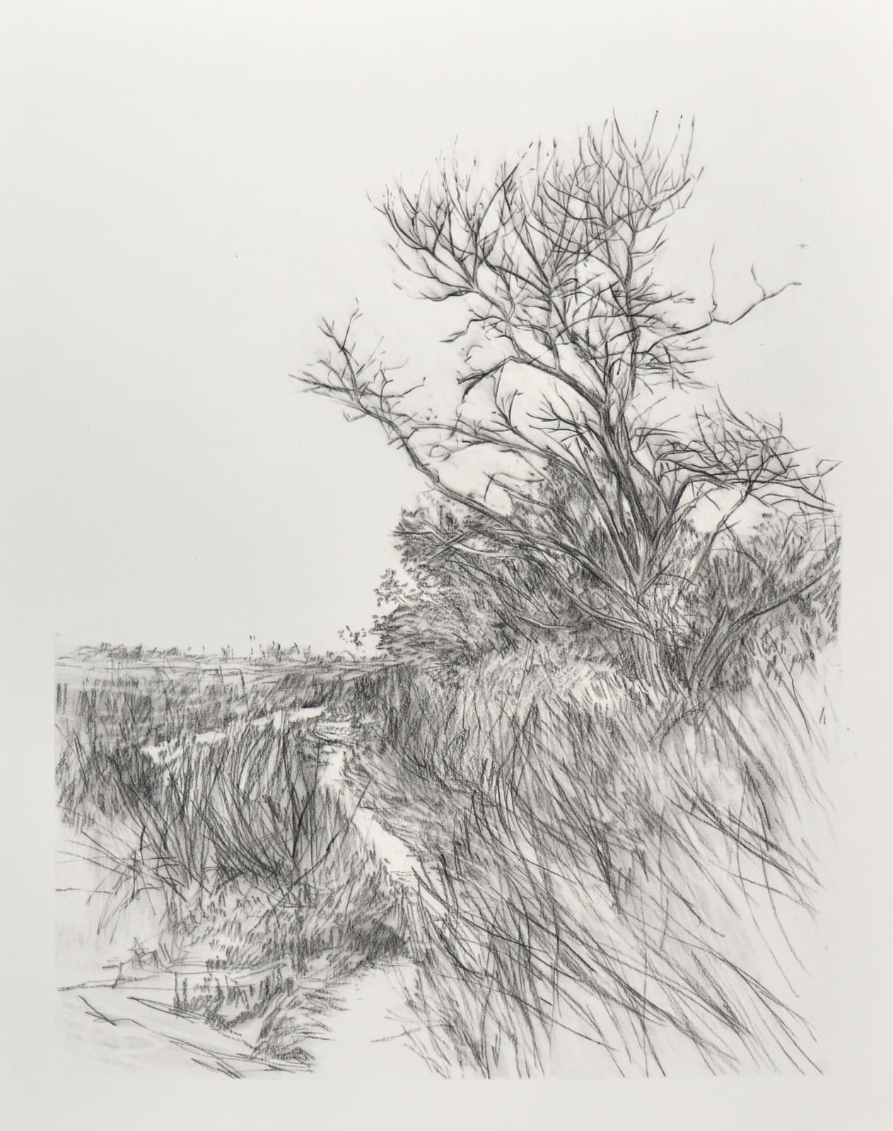 Melanie Taylor, Borderland 5