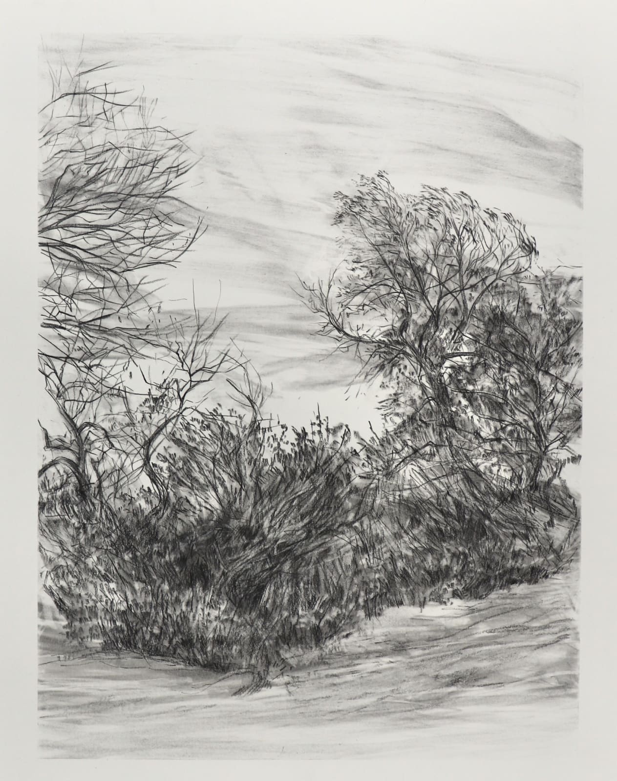 Melanie Taylor, Borderland 3